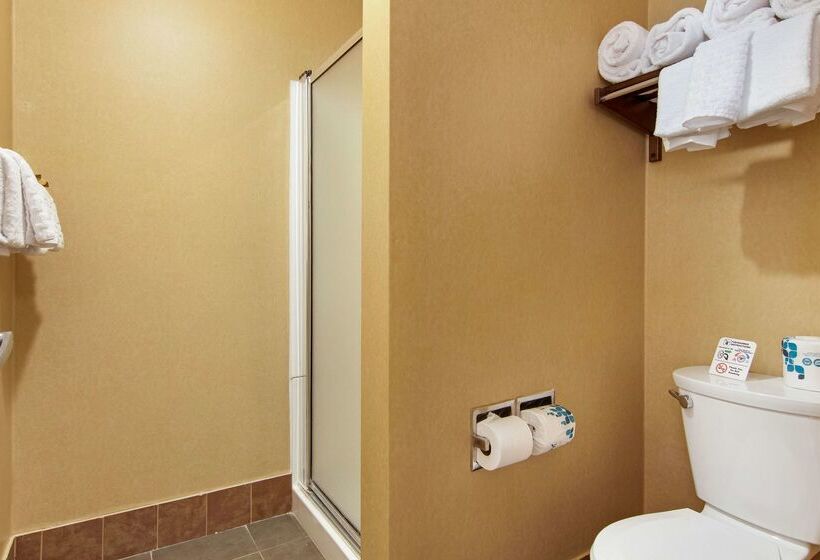 Отель Best Western Plus Ruby's Inn