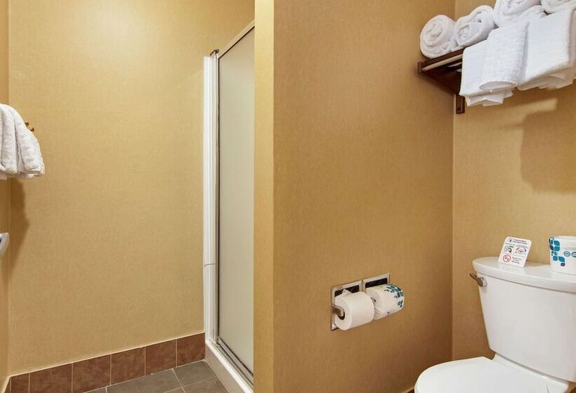 Отель Best Western Plus Ruby's Inn