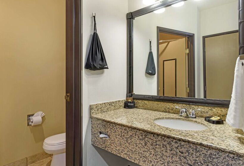 فندق Best Western Plus The Inn At Horse Heaven