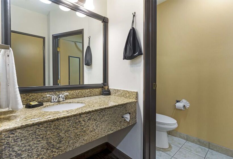 فندق Best Western Plus The Inn At Horse Heaven