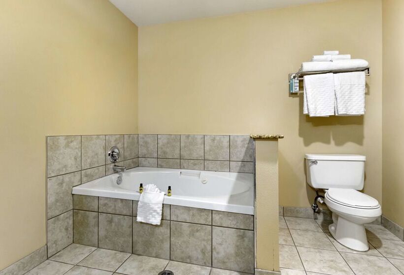 فندق Best Western Plus The Inn At Horse Heaven