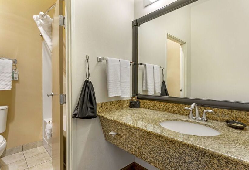 فندق Best Western Plus The Inn At Horse Heaven