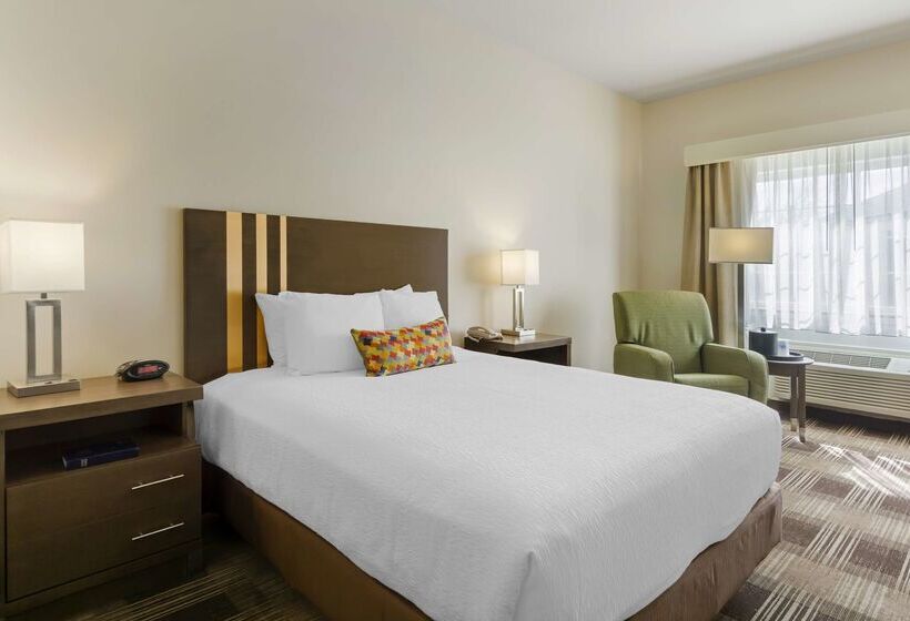 فندق Best Western Plus The Inn At Horse Heaven