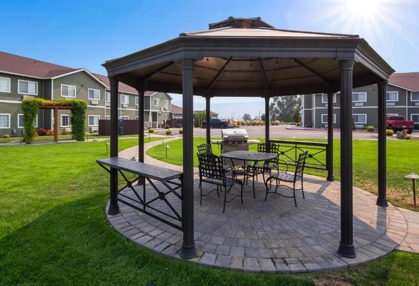 فندق Best Western Plus The Inn At Horse Heaven