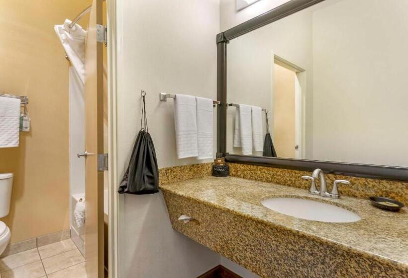 فندق Best Western Plus The Inn At Horse Heaven