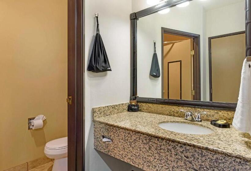 فندق Best Western Plus The Inn At Horse Heaven