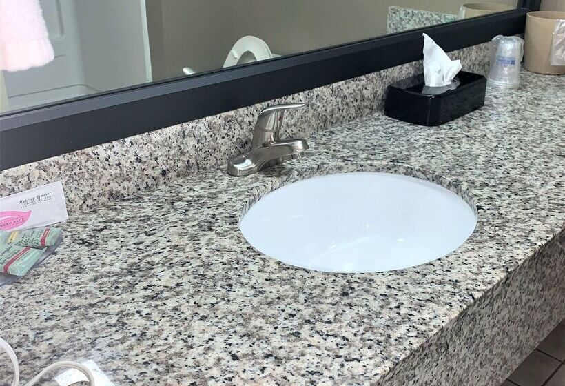 בית מלון כפרי Best Western River City