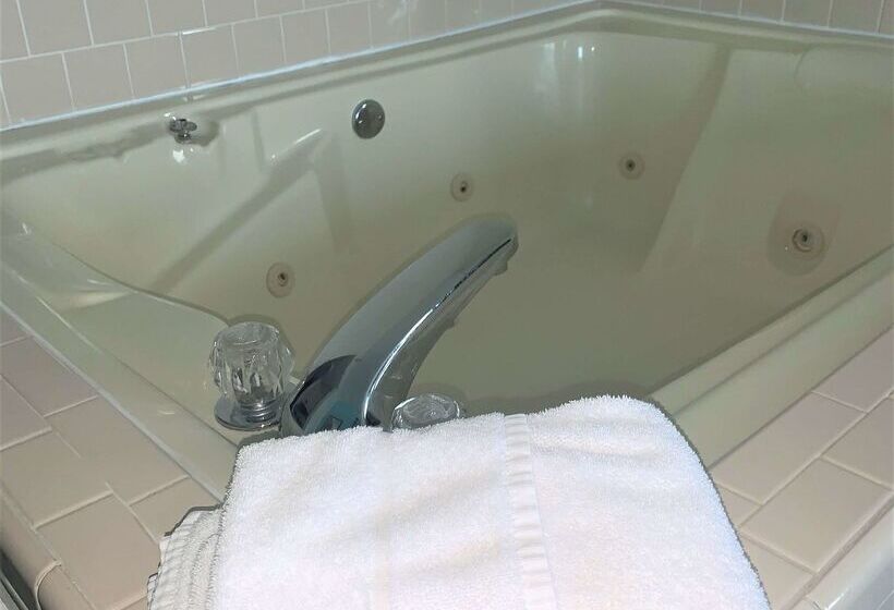 בית מלון כפרי Best Western River City