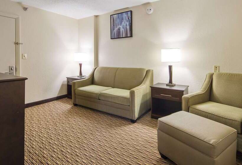 בית מלון כפרי Best Western River City