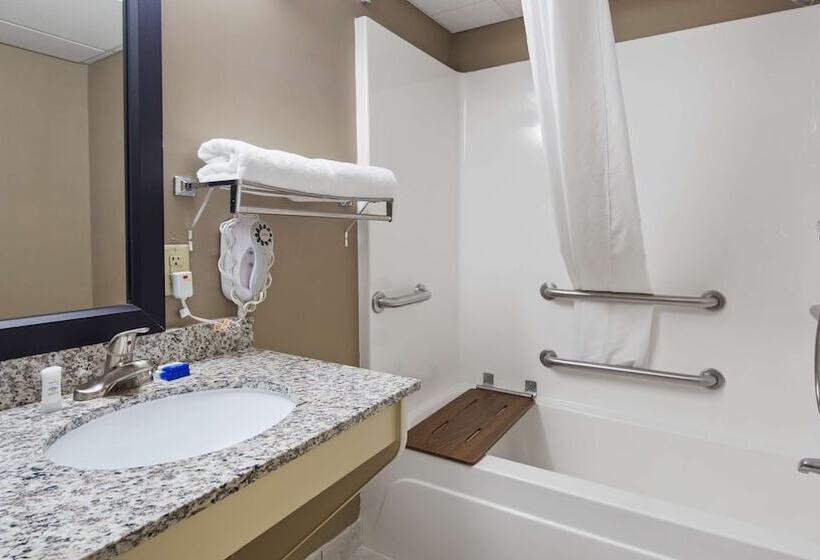 בית מלון כפרי Best Western River City