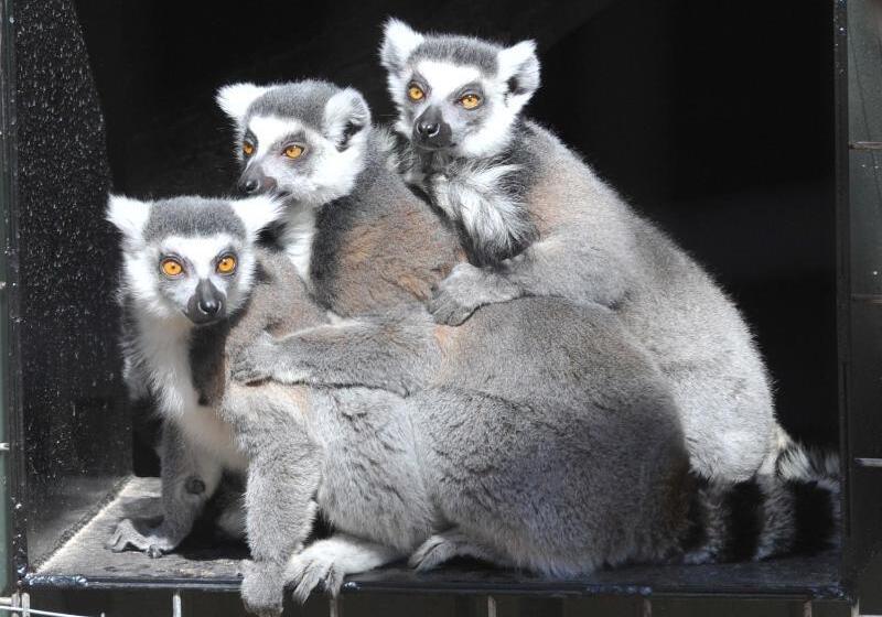 فندق Best Western Santa Fe Inn