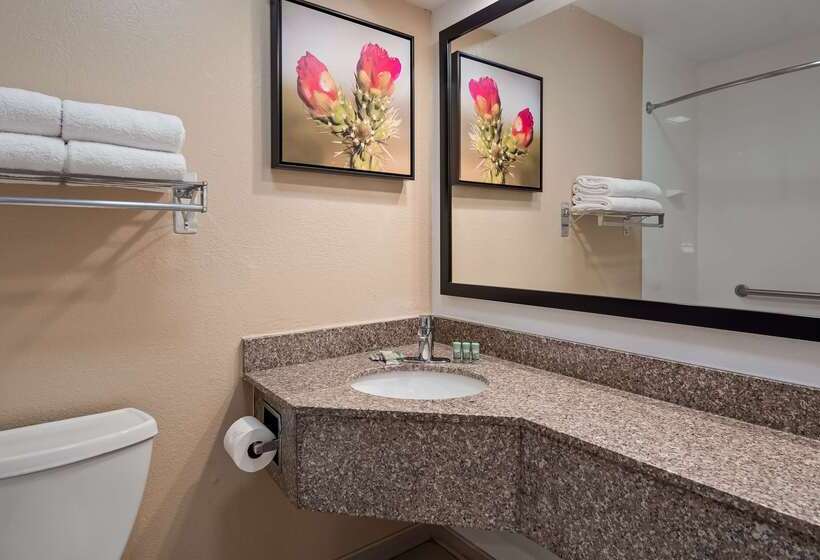 فندق Best Western Santa Rosa Inn