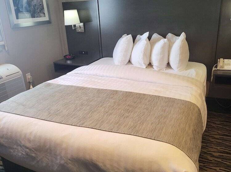 فندق Best Western Sawtooth Inn And Suites