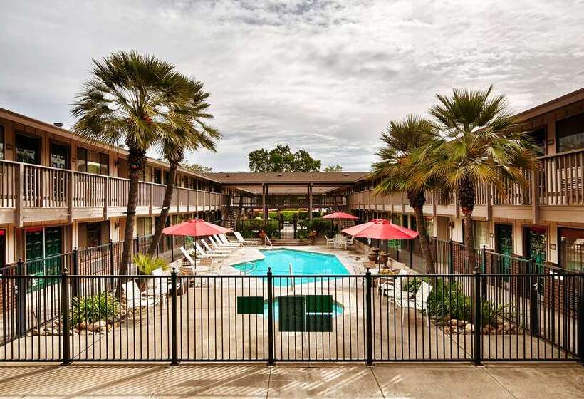 فندق Best Western Shadow Inn