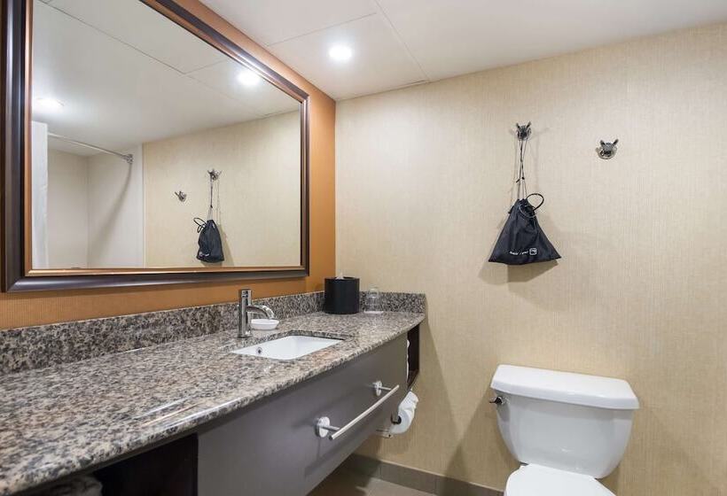 هتل Best Western Suites Near Opryland