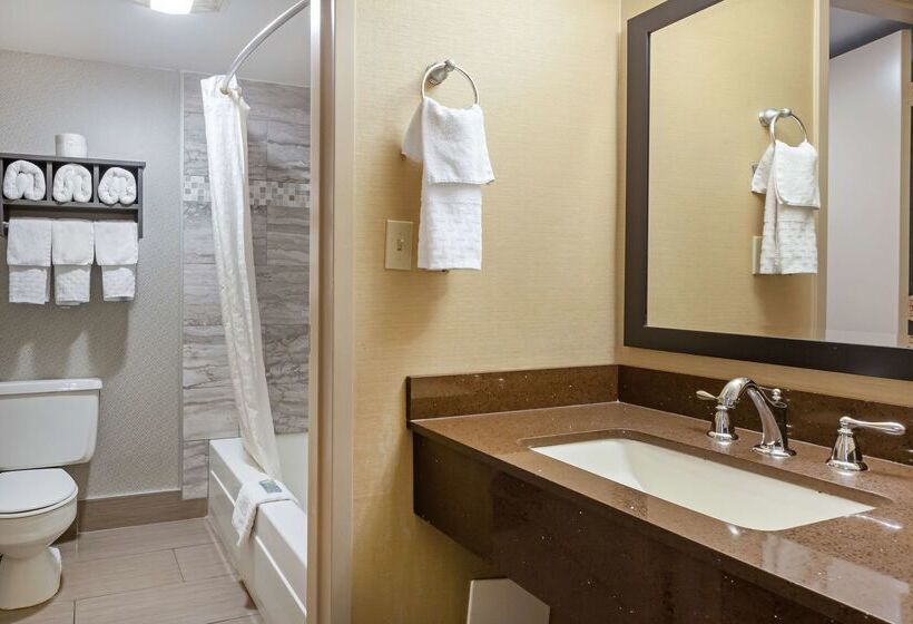 هتل Best Western Summit Inn