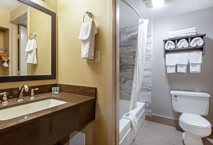 בית מלון כפרי Best Western Summit Inn