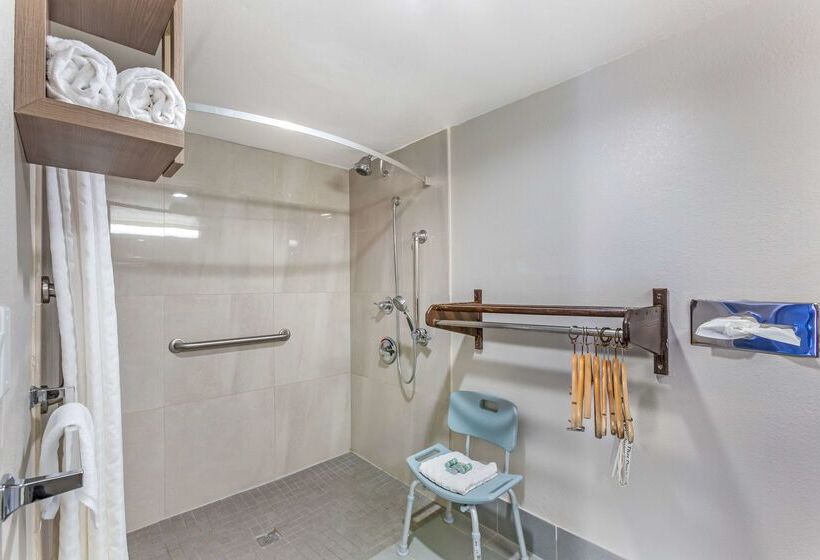 Отель Best Western Sunland Park