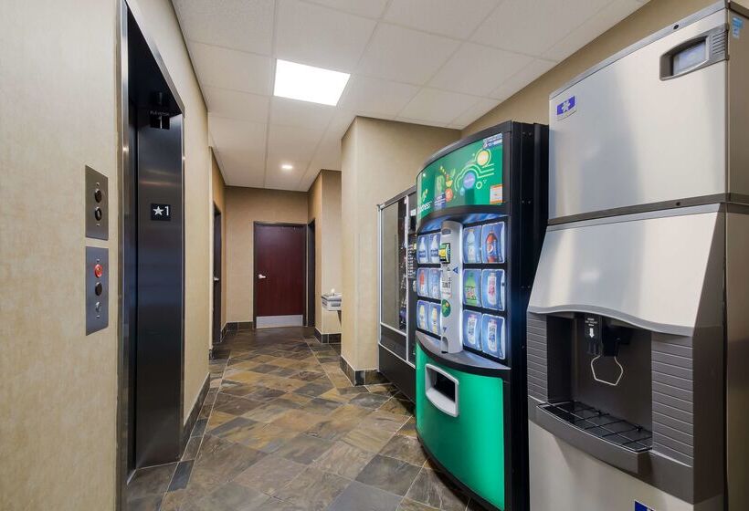 Отель Best Western University Inn And Suites