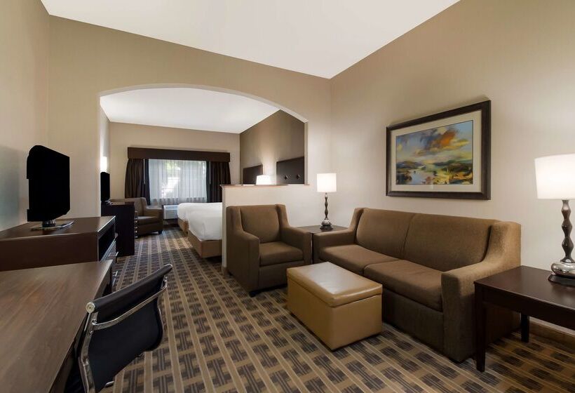 Отель Best Western University Inn And Suites