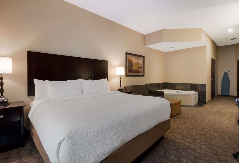 فندق Best Western University Inn And Suites