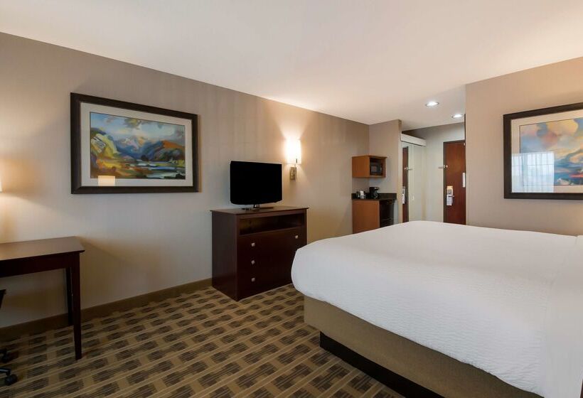 فندق Best Western University Inn And Suites