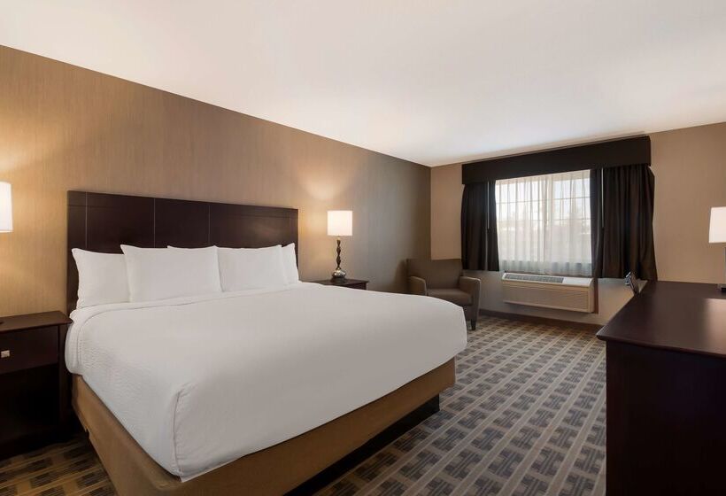 Отель Best Western University Inn And Suites