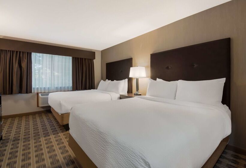 Отель Best Western University Inn And Suites