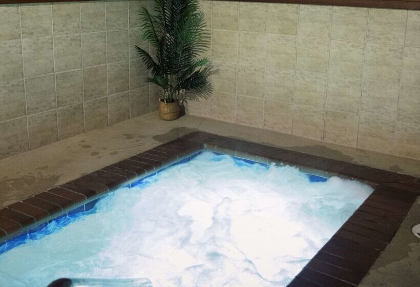 Отель Best Western University Inn And Suites