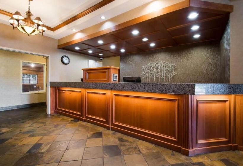 فندق Best Western University Inn And Suites