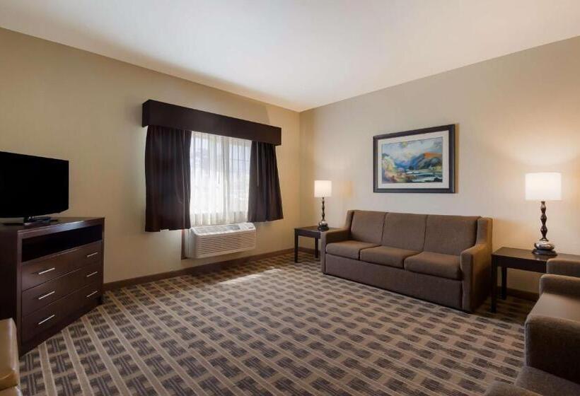 فندق Best Western University Inn And Suites