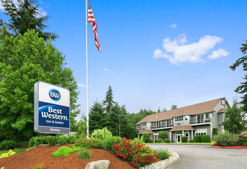 فندق Best Western Wesley Inn & Suites