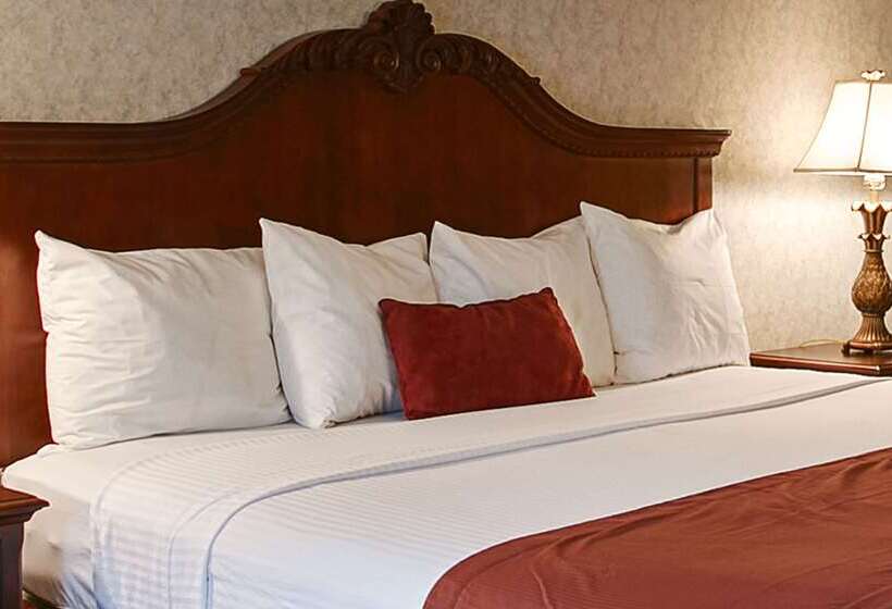 בית מלון כפרי Best Western Wilderness Trail Inn