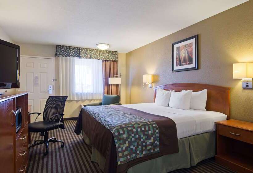 فندق Best Western Windsor Inn