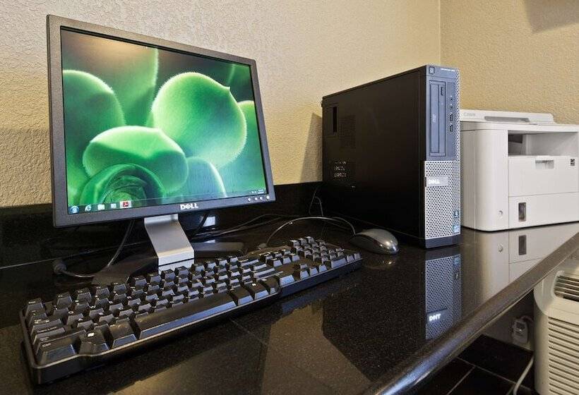 فندق Best Western Windsor Inn