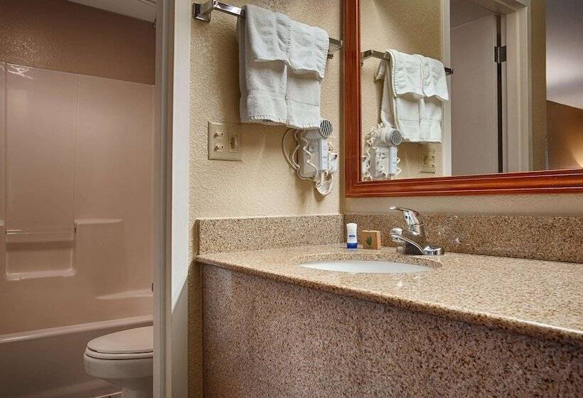 فندق Best Western Windsor Inn