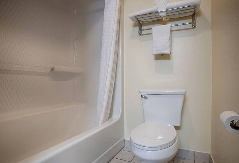 فندق Best Western Windsor Inn