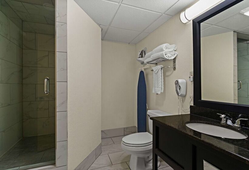 فندق Best Western Windsor Suites