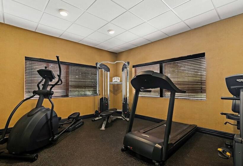 فندق Best Western Windsor Suites