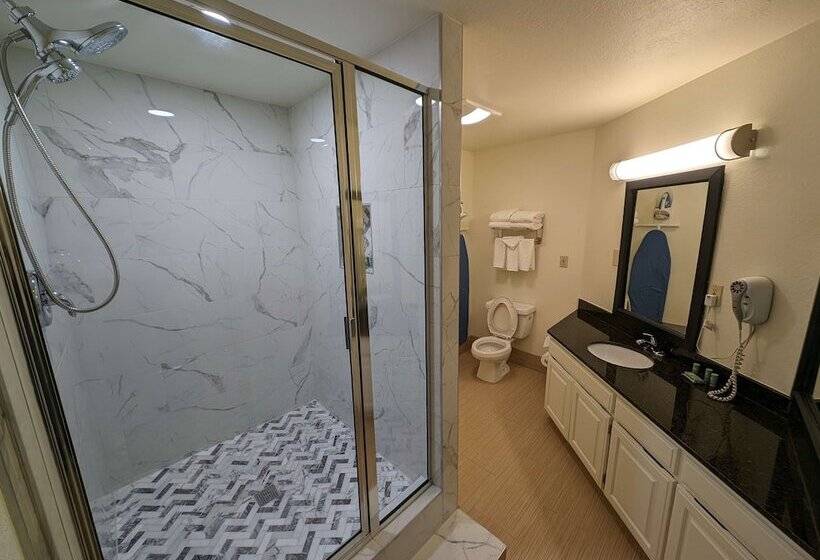 فندق Best Western Windsor Suites