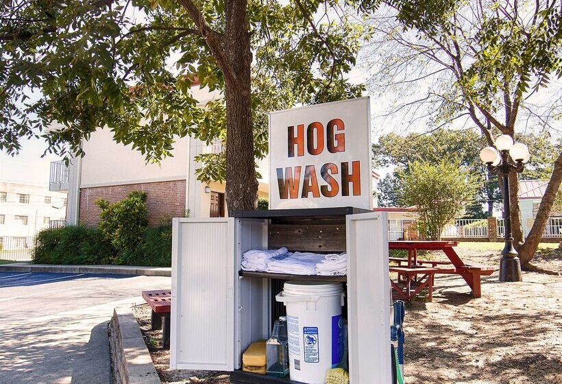 فندق Best Western Winners Circle