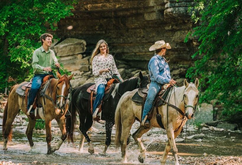 ホテル Big Cedar Lodge