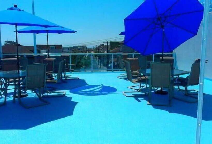 فندق Biscayne Suites