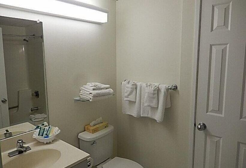 فندق Biscayne Suites