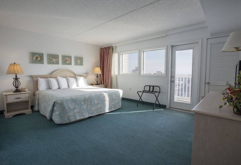 فندق Biscayne Suites