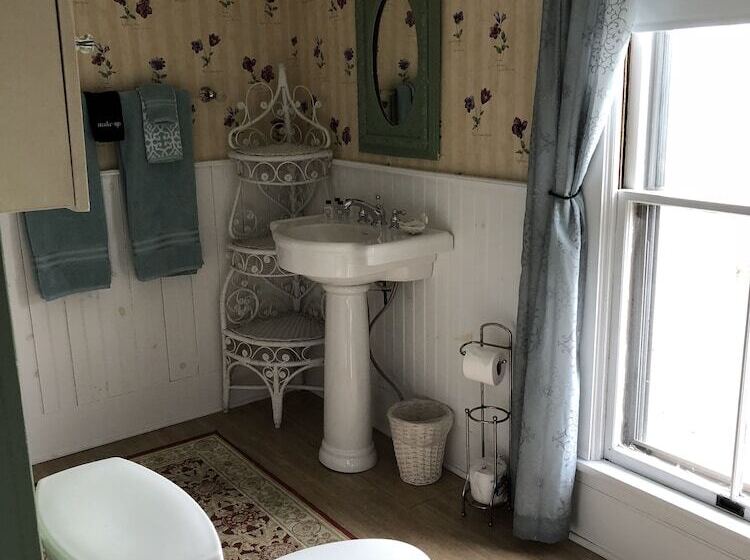 בית מלון כפרי Black Swan Inn