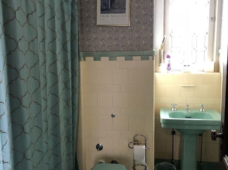 בית מלון כפרי Black Swan Inn