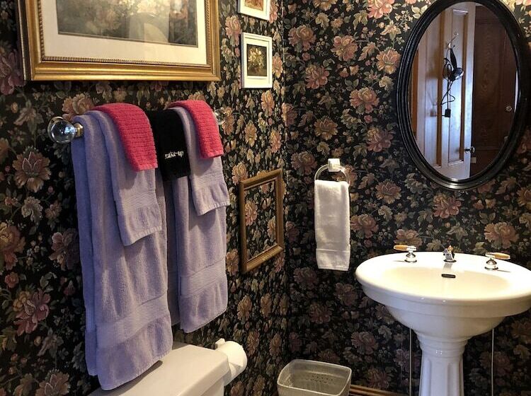 בית מלון כפרי Black Swan Inn