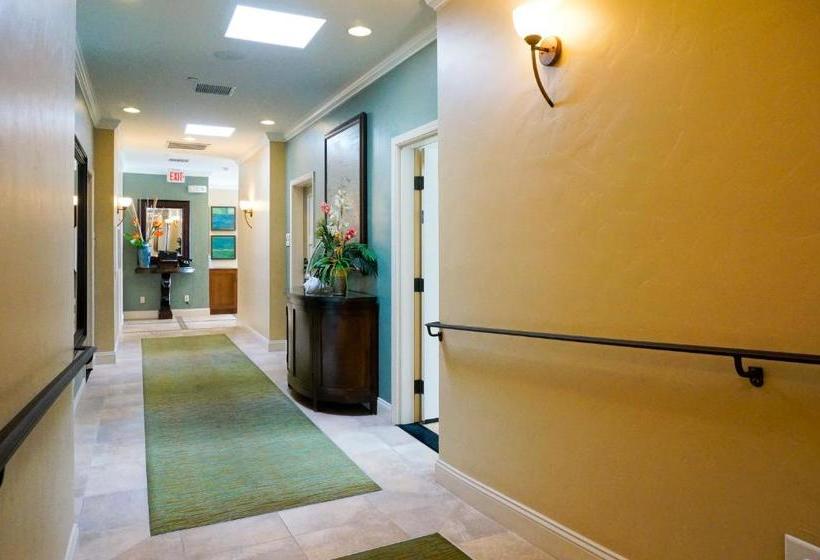 호텔 Blue Dolphin Inn