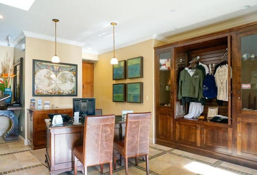 호텔 Blue Dolphin Inn